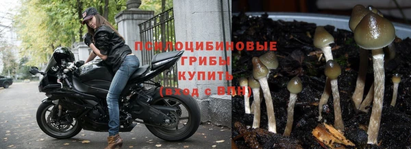 соль курить ск Алексин