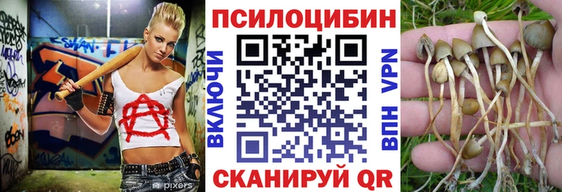 нарко площадка телеграм Николаевск Галлюциногенные грибы Cubensis