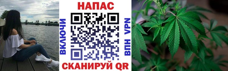 наркотики  Николаевск  кракен ССЫЛКА  Бошки Шишки LSD WEED 